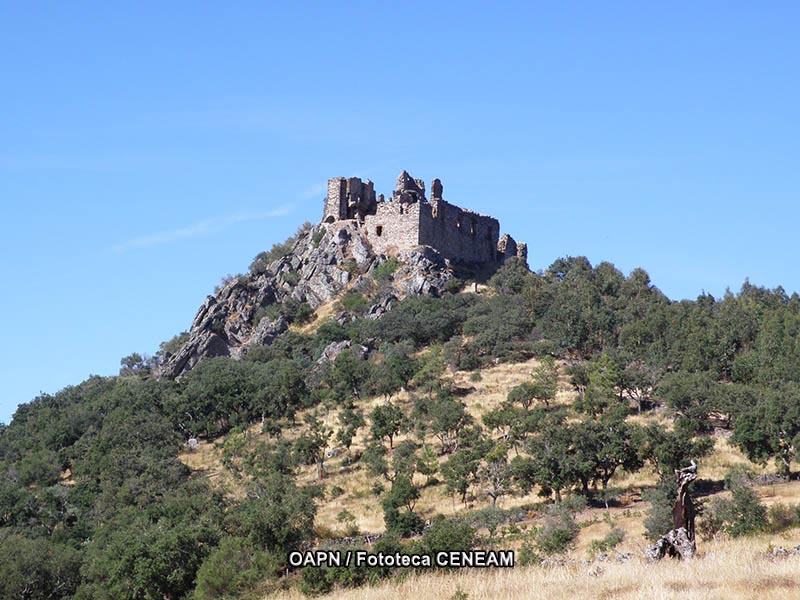 La Mancha Humeda