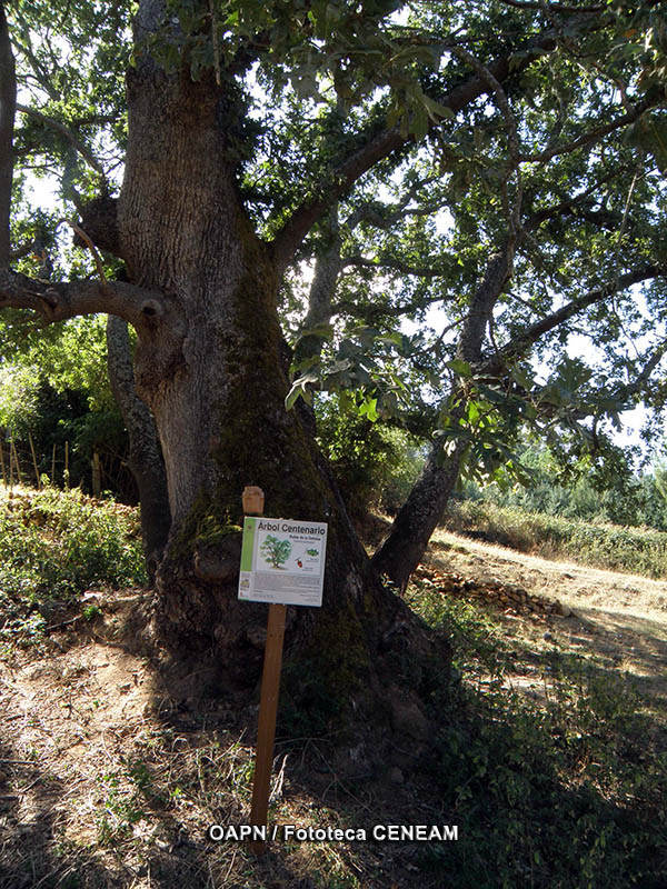 Sierras de Bejar y Francia