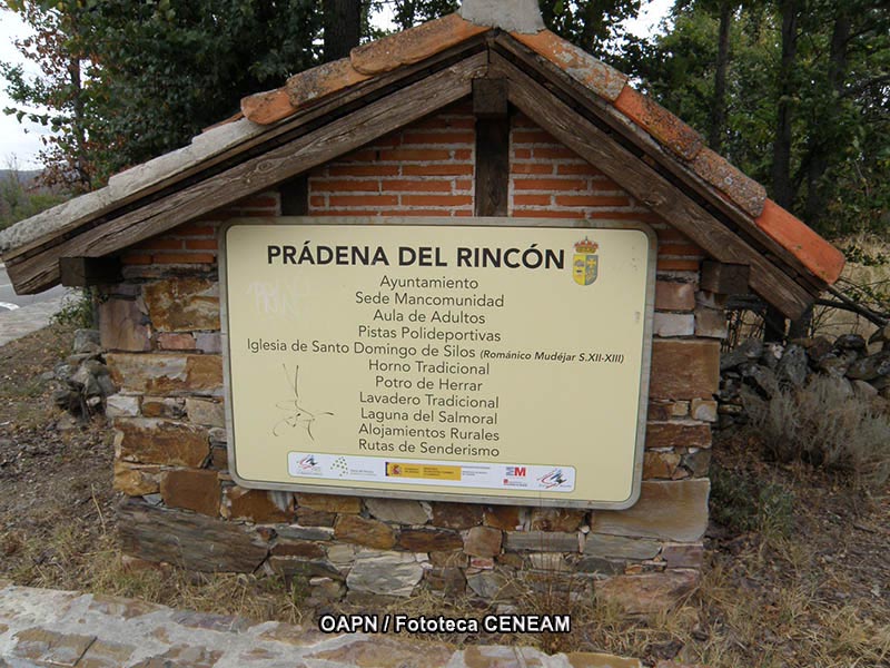 Sierra del Rincon