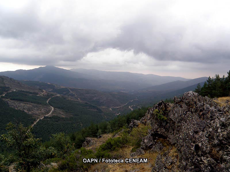 Sierra del Rincon