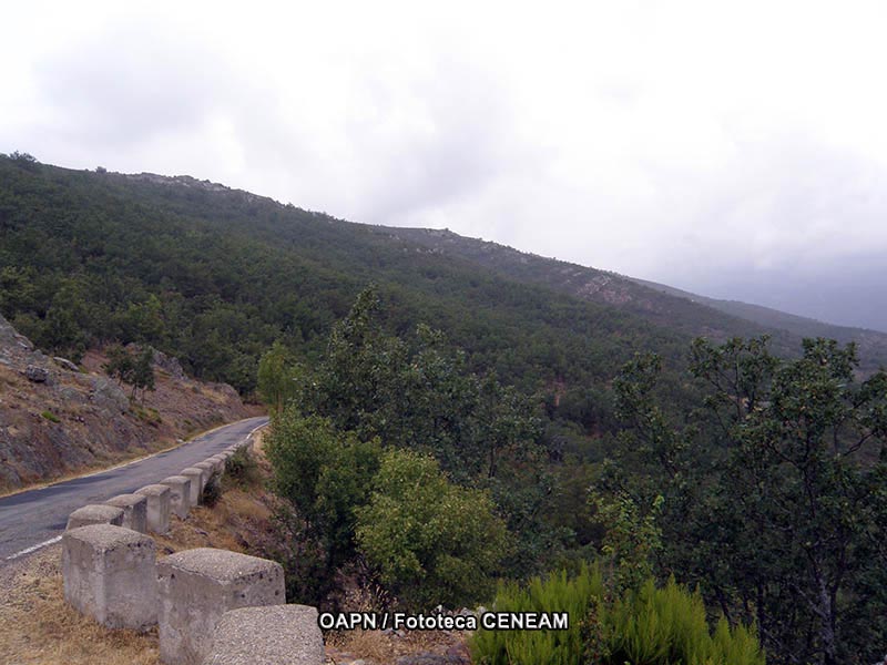 Sierra del Rincon