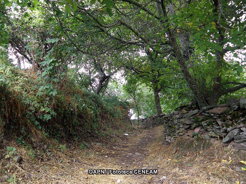 Sierra del Rincon