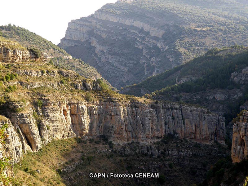 Valles de Leza, Jubera, Cidacos y Alhama