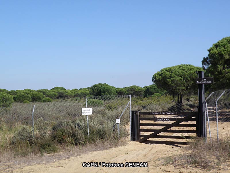 Sierra de Grazalema