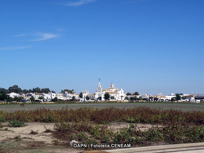 Doñana