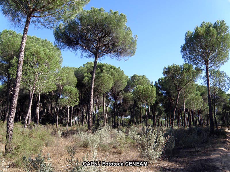 Sierra de Grazalema