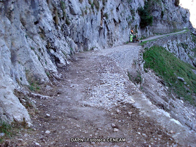 Picos de Europa