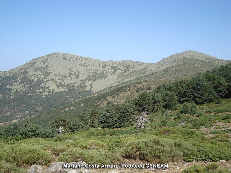 Sierra de Guadarrama