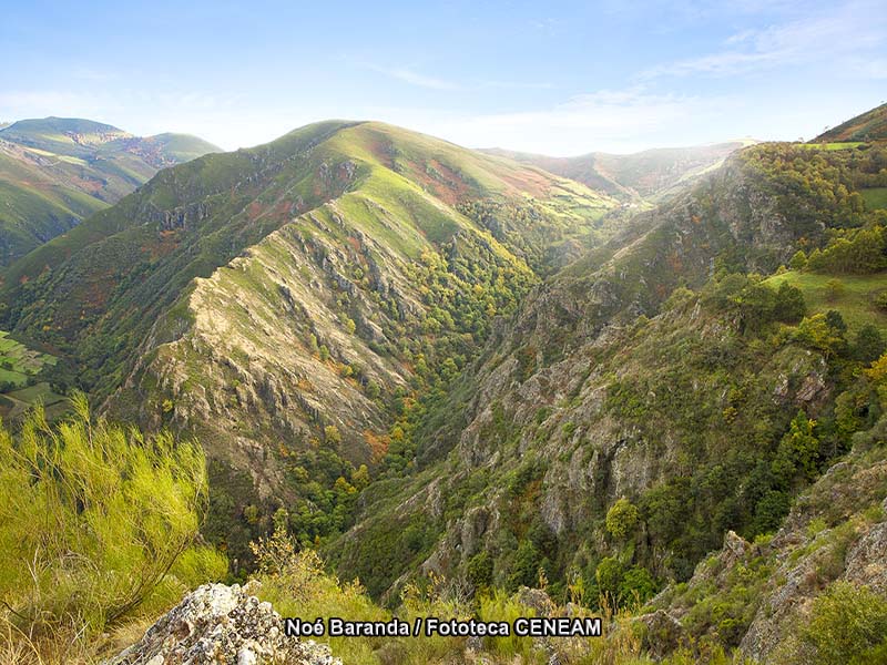 Picos de Europa