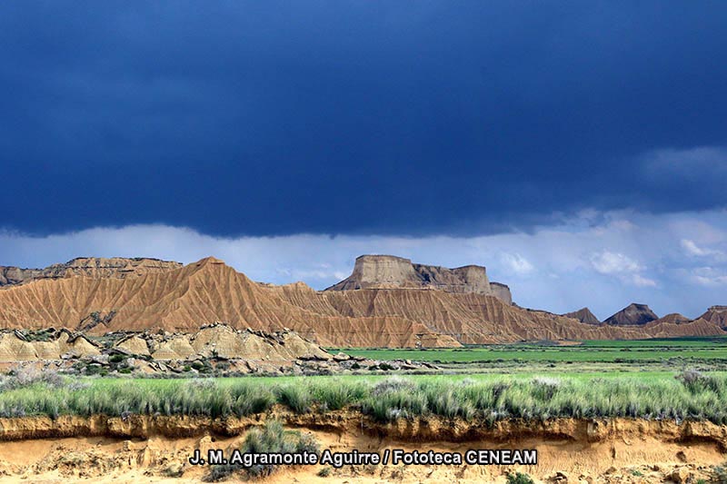 Bardenas Reales