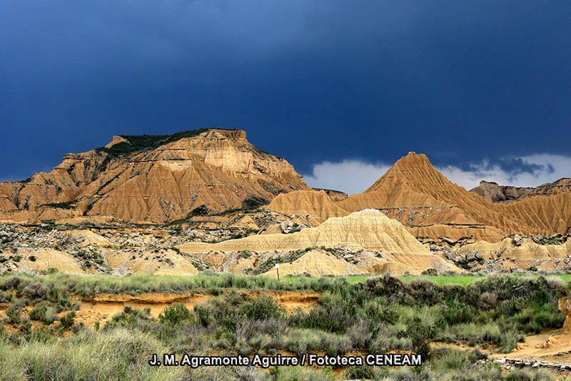 Bardenas Reales