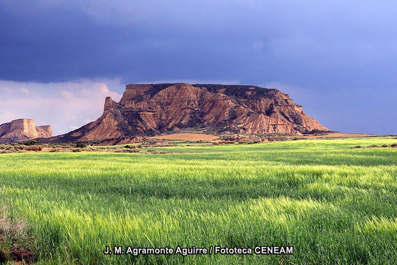 Bardenas Reales