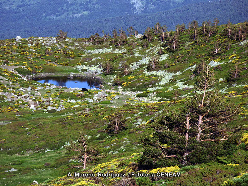 Sierra de Guadarrama