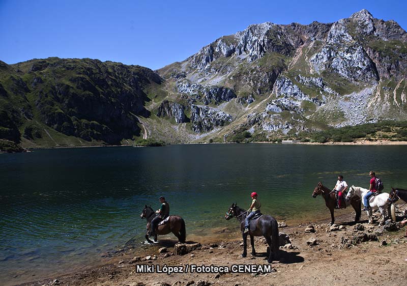 Dehesas de Sierra Morena