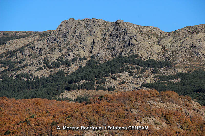 Sierra de Guadarrama