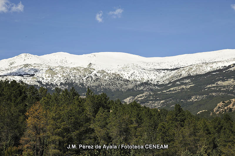 Sierra de Guadarrama