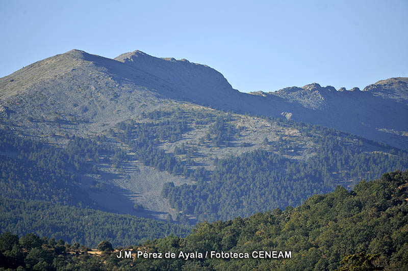 Sierra de Guadarrama