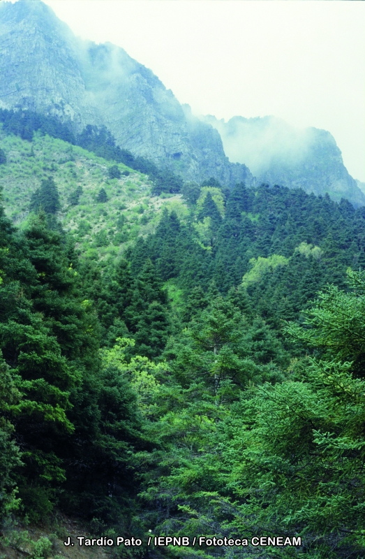 Sierra de Grazalema