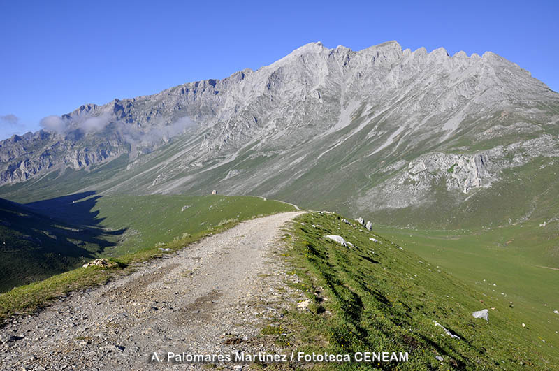 Picos de Europa