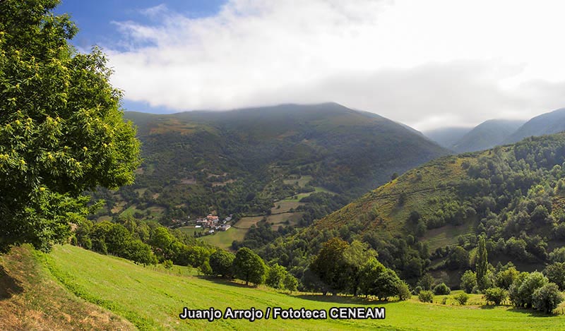 Picos de Europa