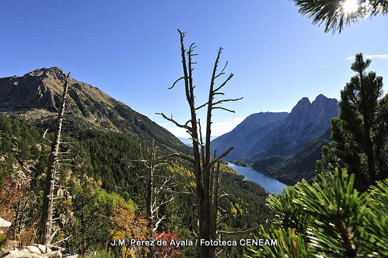 Aigüestortes i Estany de Sant Maurici