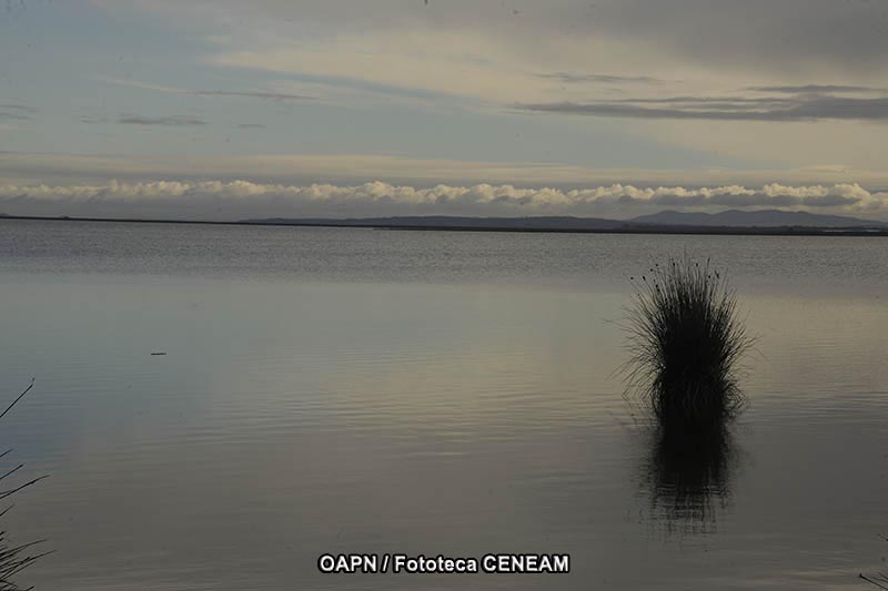 Doñana