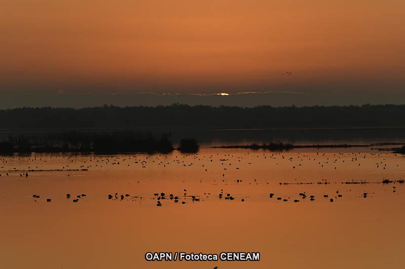 Doñana