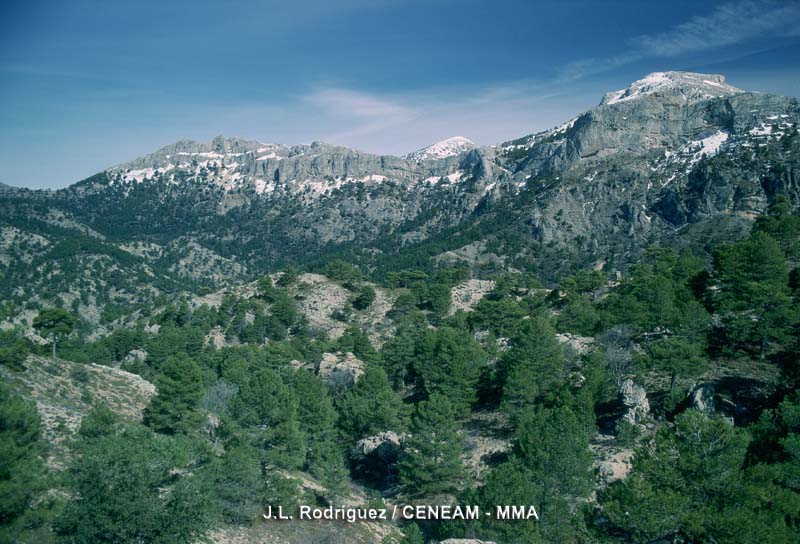 Sierras de Cazorla, Segura y las Villas