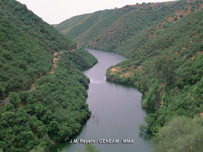 Sierra de Hornachuelos