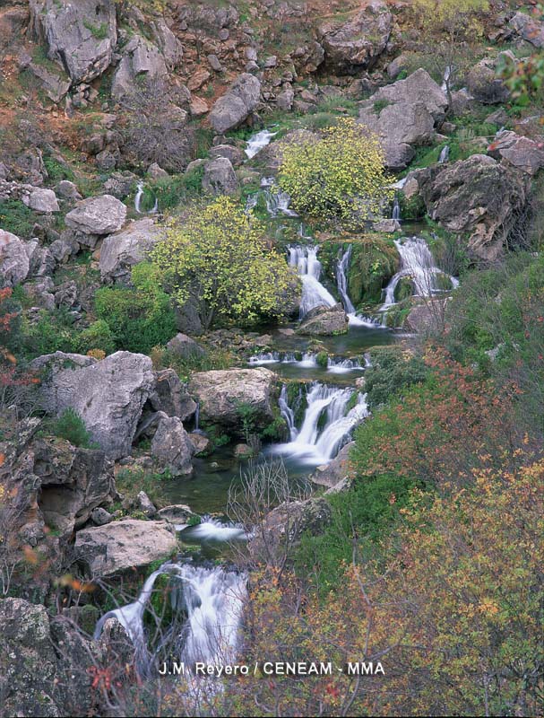 Sierras de Cazorla, Segura y las Villas