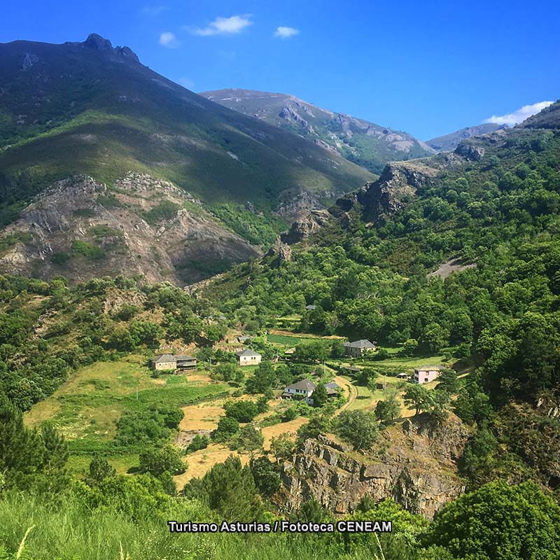 Picos de Europa