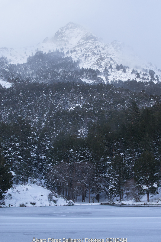 Sierra Norte de Guadarrama