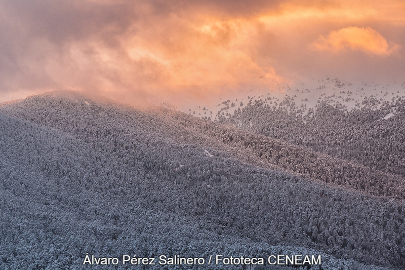 Sierra de Guadarrama