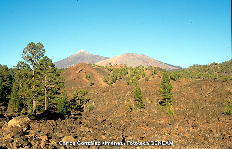 El Teide