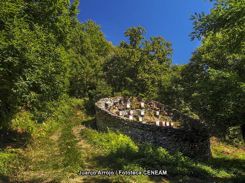 Picos de Europa