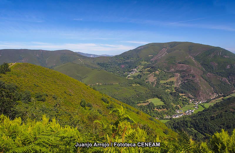 Picos de Europa