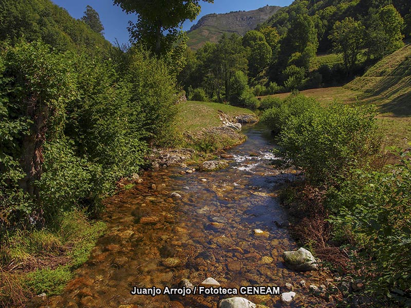 Picos de Europa