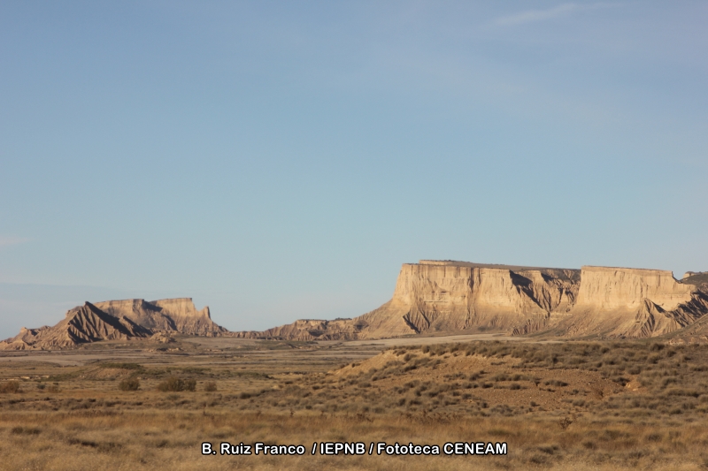 Bardenas Reales