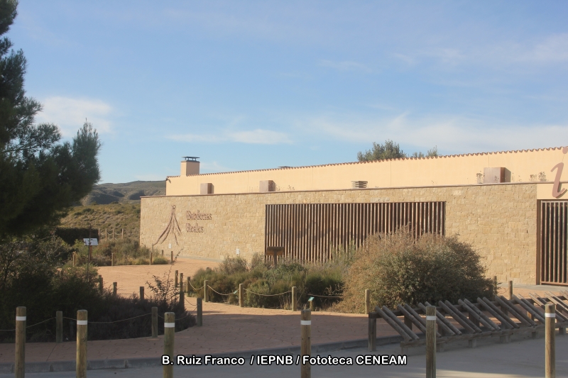 Bardenas Reales