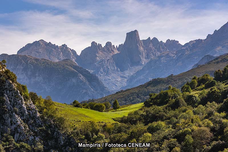 Picos de Europa