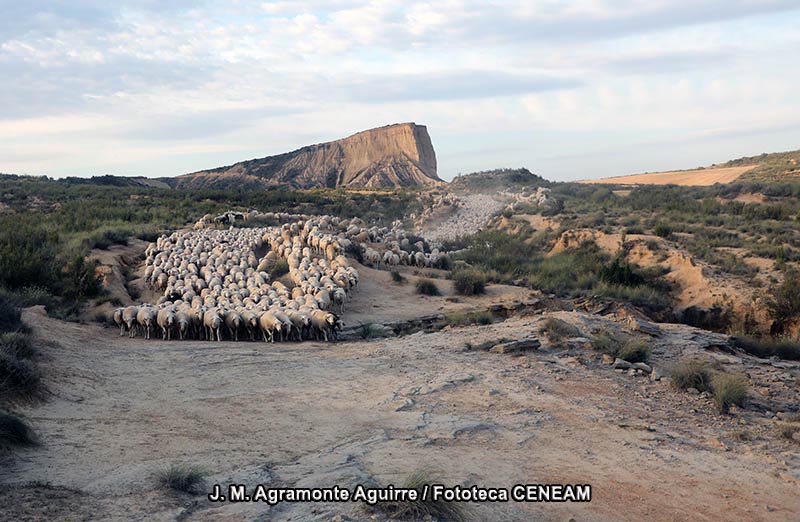 Bardenas Reales