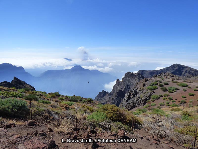 La Caldera de Taburiente