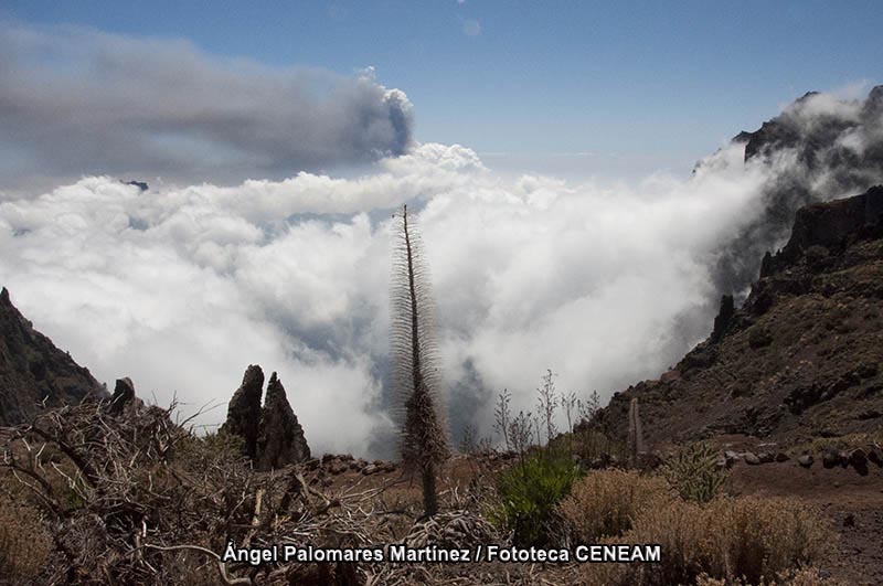 La Caldera de Taburiente