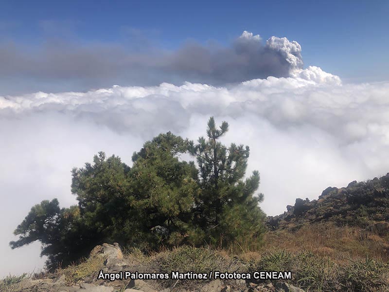 La Caldera de Taburiente