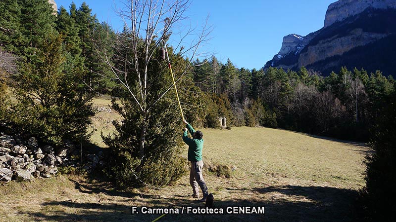 Ordesa y Monte Perdido