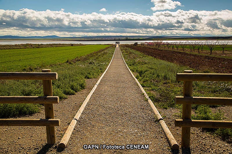 Cuenca de Gallocanta