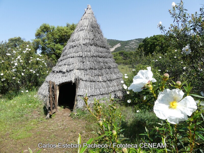 Cabañeros