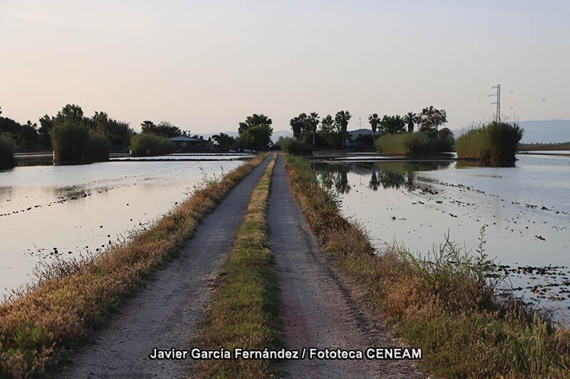 Terres de l Ebre