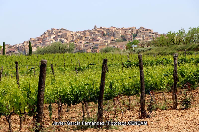 Terres de l Ebre