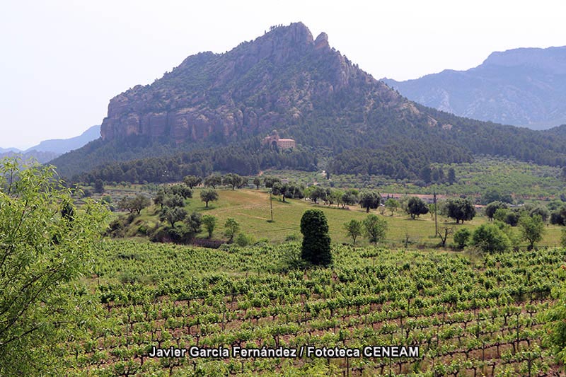 Terres de l Ebre